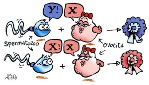 Educazione_sessuale_a_fumetti_2