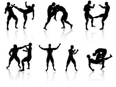 sport da combattimento